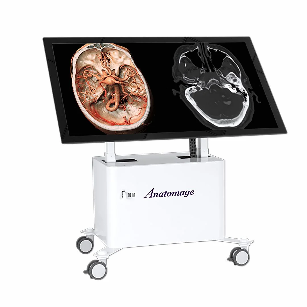 Anatomage Table Clinical