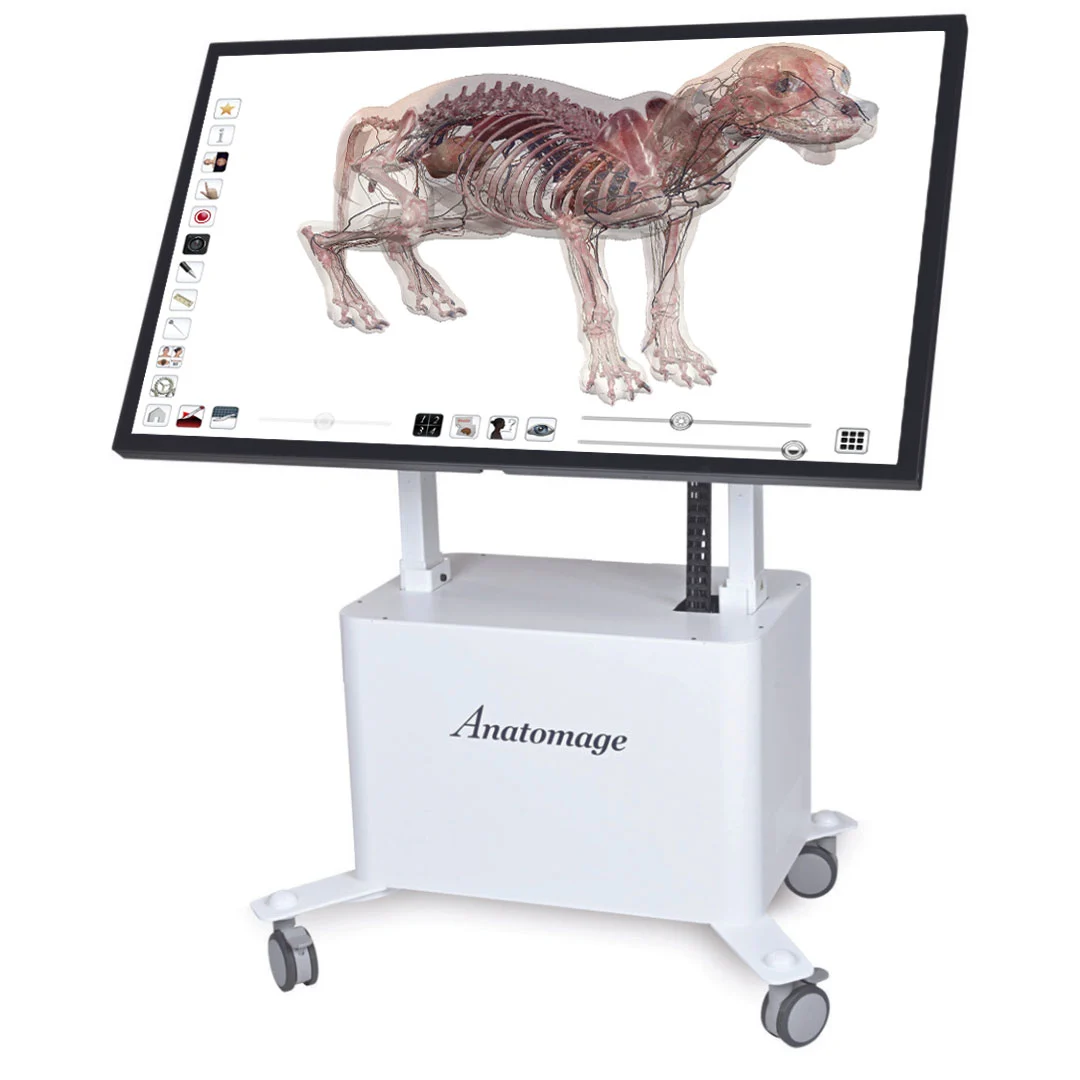 Anatomage Table Vet