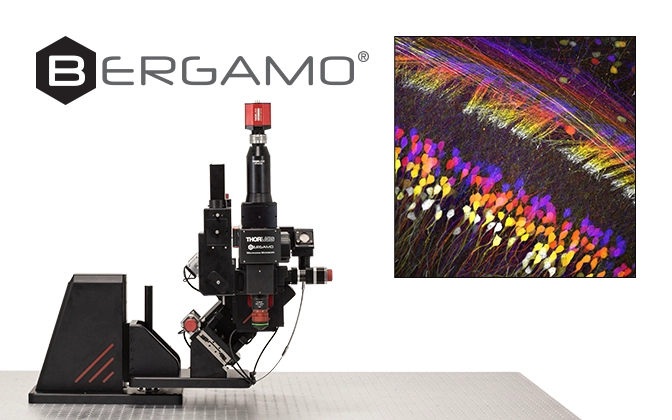 Bergamo III Series Multiphoton Microscopes