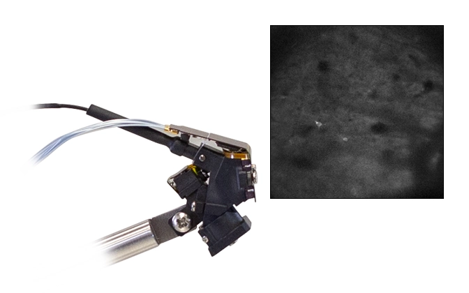 Mini2P Miniaturized Two-Photon Microscope