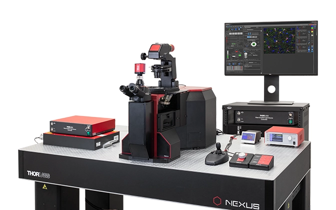 Veneto Inverted Microscopes