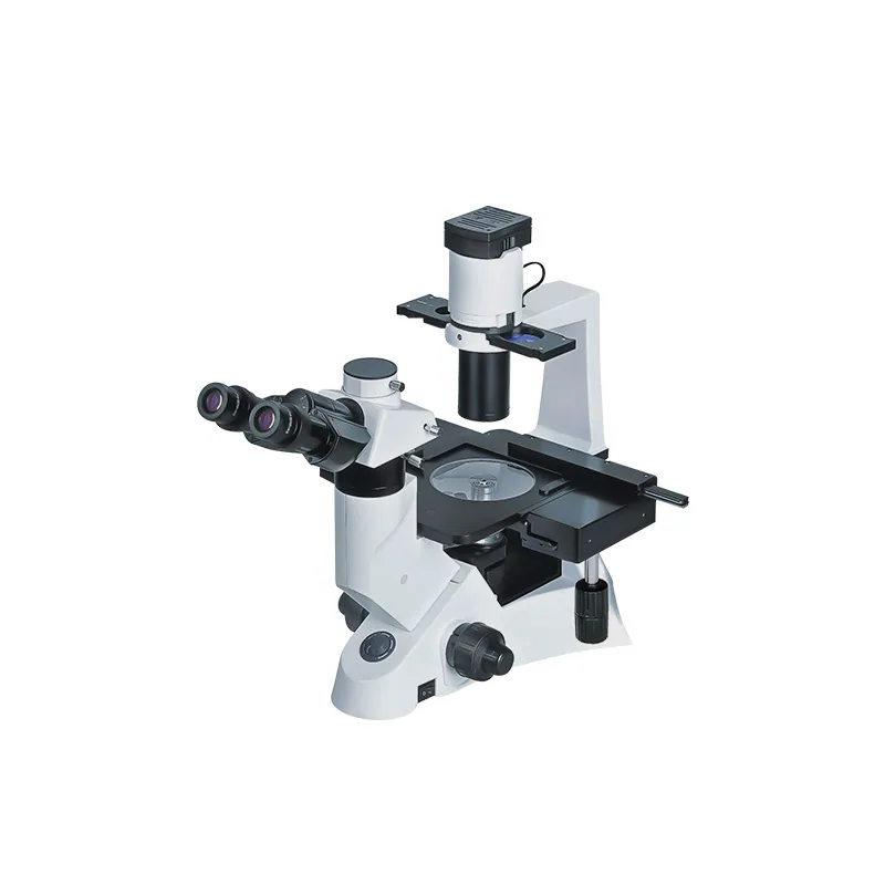 BIOBASE Fluorescence Biological Microscope BFM-100