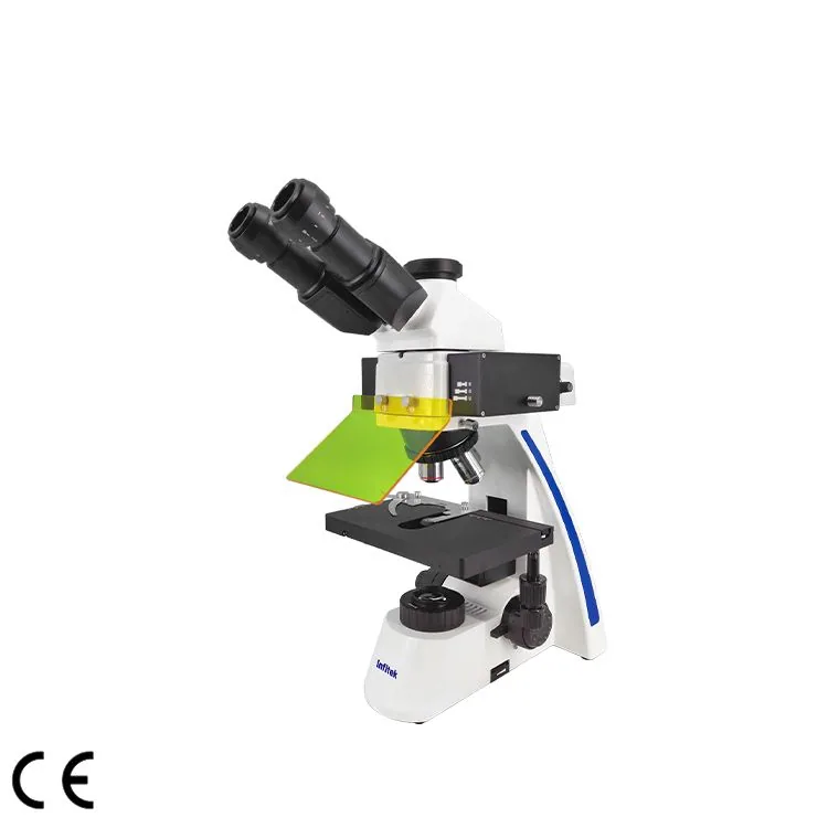 Infitek Fluorescence Microscope, MSC-F31