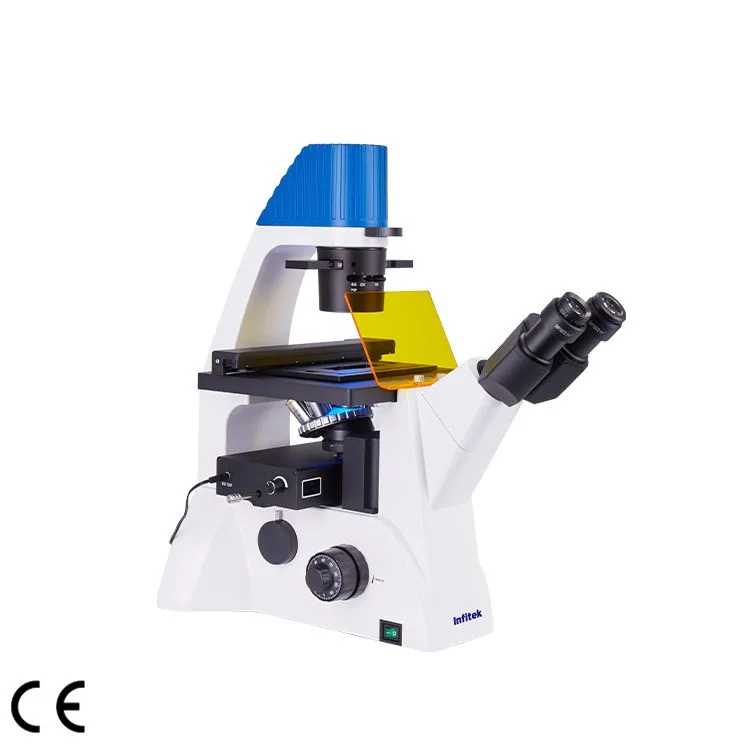 Infitek Inverted Fluorescence Microscope, MSC-IV52FN