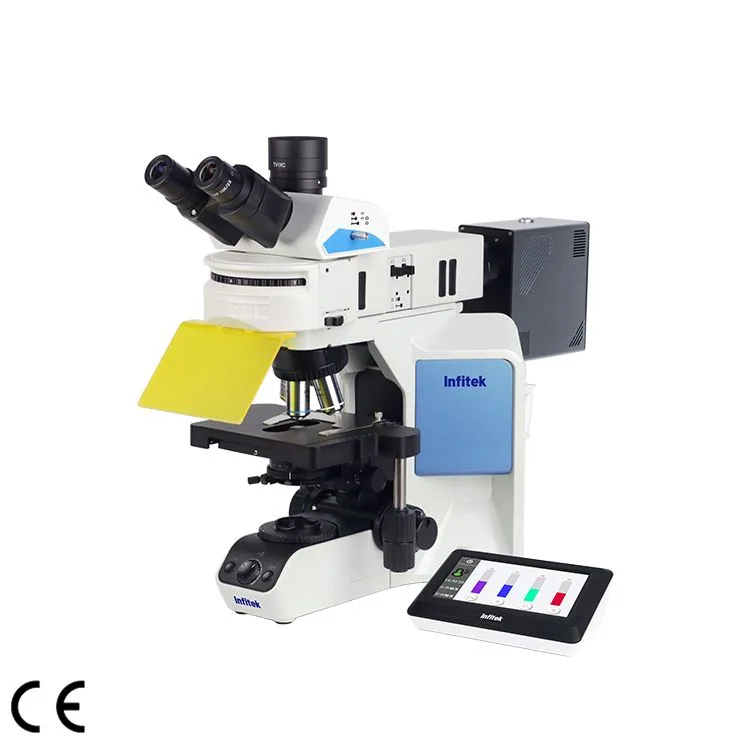 Infitek Fluorescence Microscope, MSC-F43N