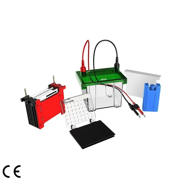 Infitek Mini Transfer Electrophoresis Tank, GEP-TH-ZY02